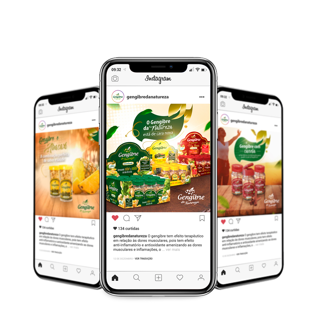 Logotipo Gengibre da Natureza